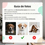 Reina de cuatro patas
