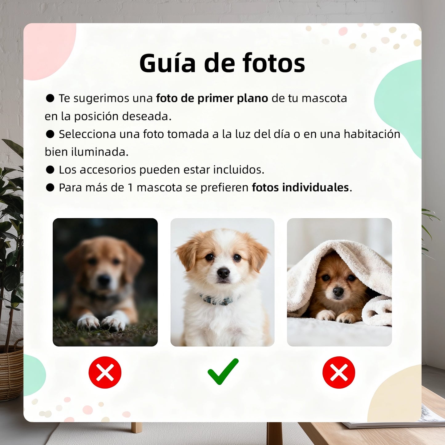Rey de cuatro patas