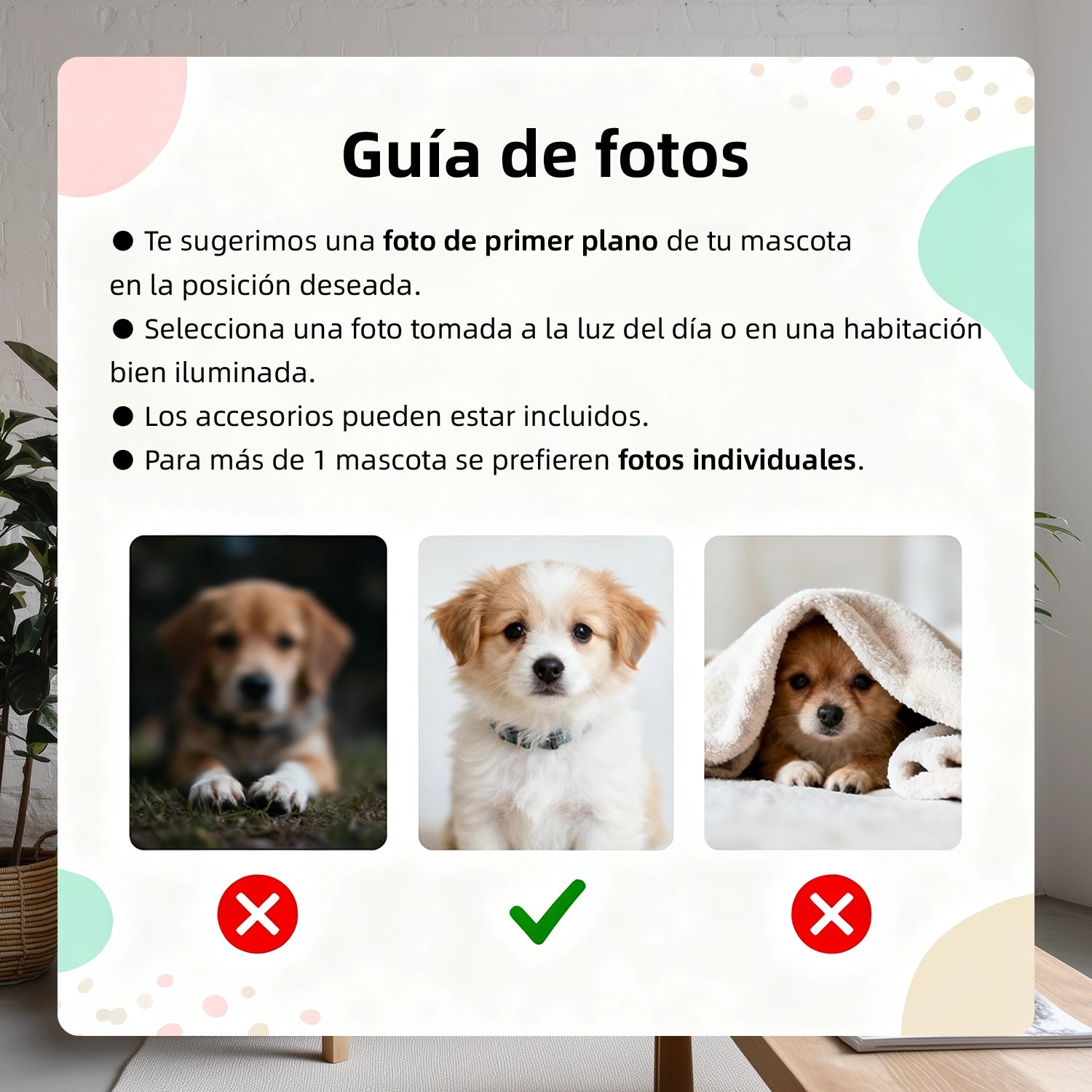 Rey de cuatro patas