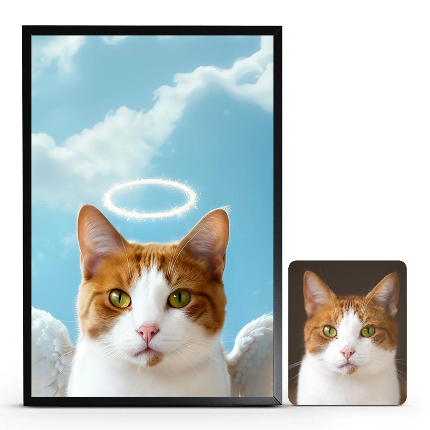 Alas de Ángel