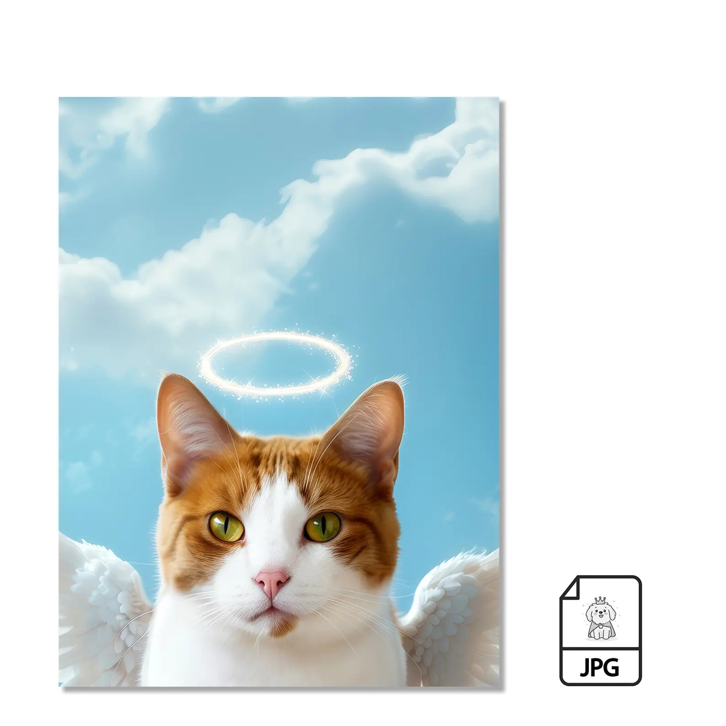 Alas de Ángel