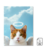 Alas de Ángel