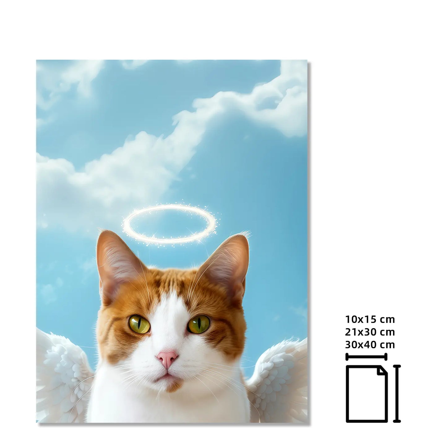 Alas de Ángel