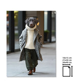Abrigo Fashion