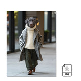 Abrigo Fashion en Lienzo